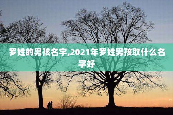罗姓的男孩名字,2021年罗姓男孩取什么名字好