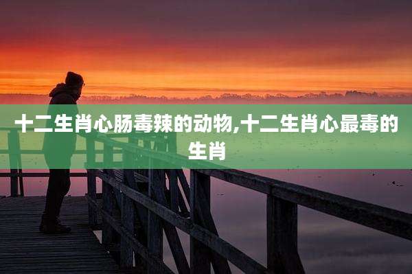 十二生肖心肠毒辣的动物,十二生肖心最毒的生肖