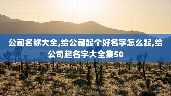 公司名称大全,给公司起个好名字怎么起,给公司起名字大全集50