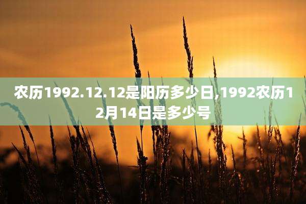 农历1992.12.12是阳历多少日,1992农历12月14日是多少号