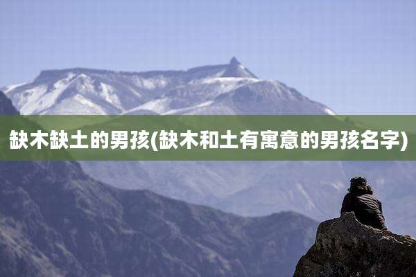 缺木缺土的男孩(缺木和土有寓意的男孩名字)
