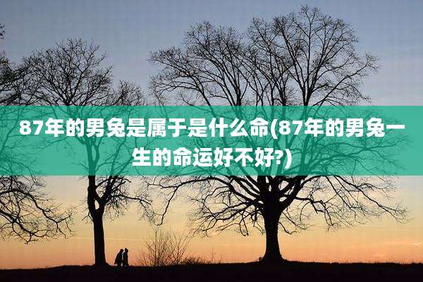 87年的男兔是属于是什么命(87年的男兔一生的命运好不好?)