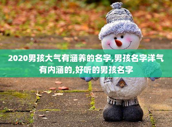 2020男孩大气有涵养的名字,男孩名字洋气有内涵的,好听的男孩名字