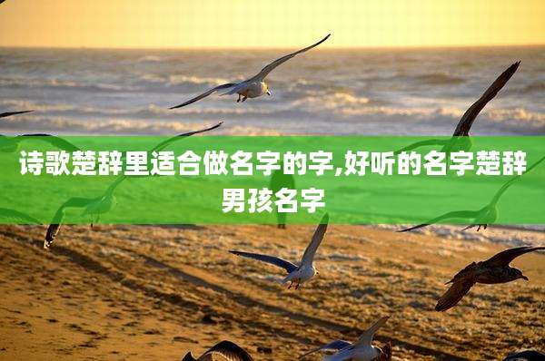 诗歌楚辞里适合做名字的字,好听的名字楚辞男孩名字