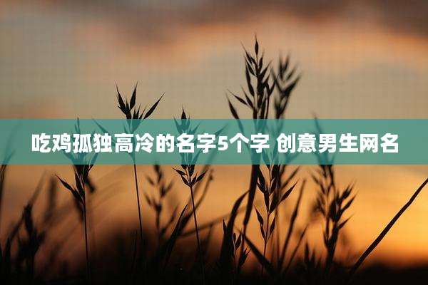 吃鸡孤独高冷的名字5个字 创意男生网名