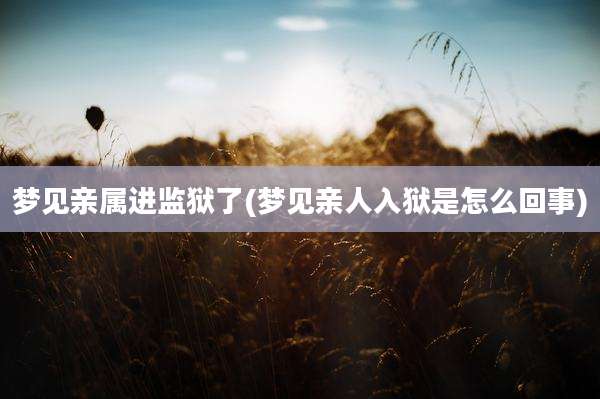 梦见亲属进监狱了(梦见亲人入狱是怎么回事)