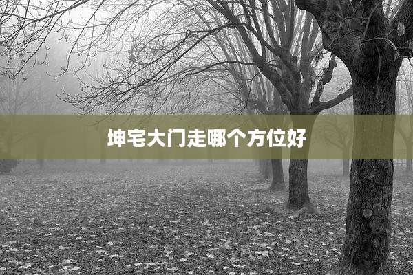 坤宅大门走哪个方位好