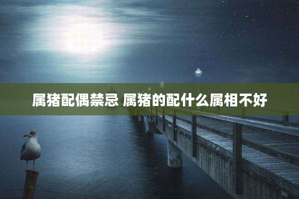 属猪配偶禁忌 属猪的配什么属相不好