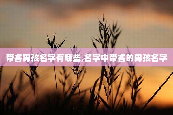 带睿男孩名字有哪些,名字中带睿的男孩名字