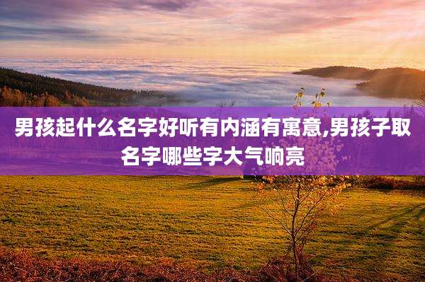 男孩起什么名字好听有内涵有寓意,男孩子取名字哪些字大气响亮