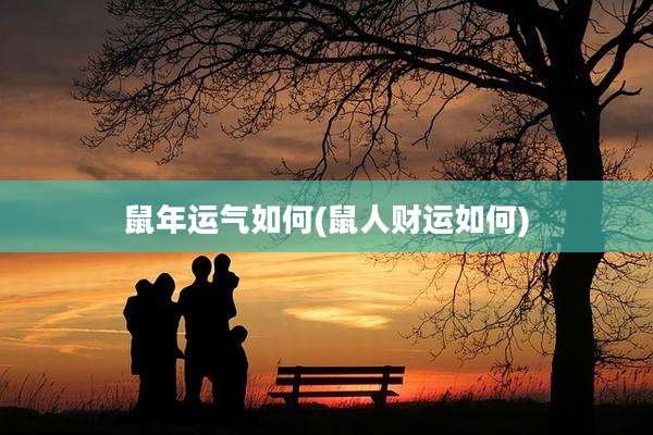 鼠年运气如何(鼠人财运如何)