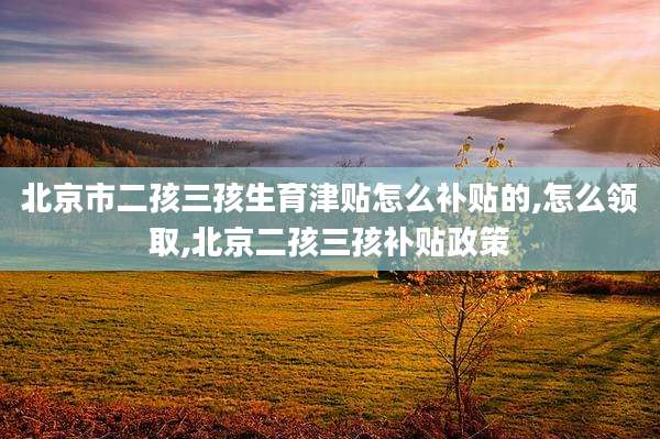 北京市二孩三孩生育津贴怎么补贴的,怎么领取,北京二孩三孩补贴政策
