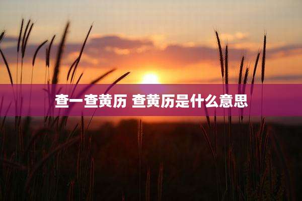 查一查黄历 查黄历是什么意思