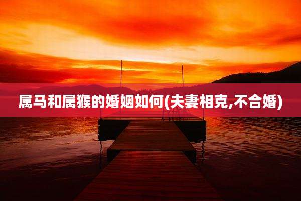 属马和属猴的婚姻如何(夫妻相克,不合婚)