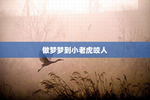 做梦梦到小老虎咬人