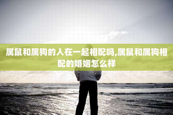 属鼠和属狗的人在一起相配吗,属鼠和属狗相配的婚姻怎么样