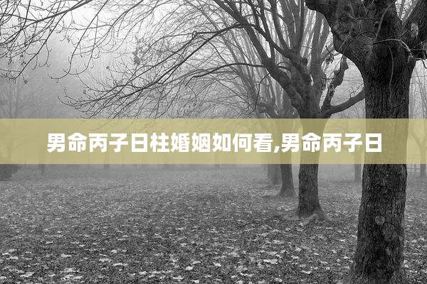 男命丙子日柱婚姻如何看,男命丙子日