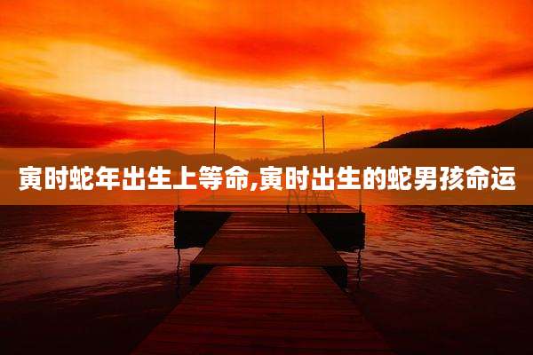 寅时蛇年出生上等命,寅时出生的蛇男孩命运