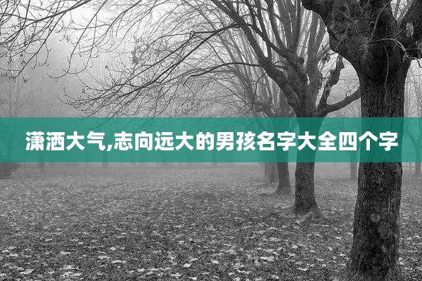 潇洒大气,志向远大的男孩名字大全四个字