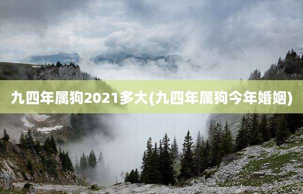 九四年属狗2021多大(九四年属狗今年婚姻)