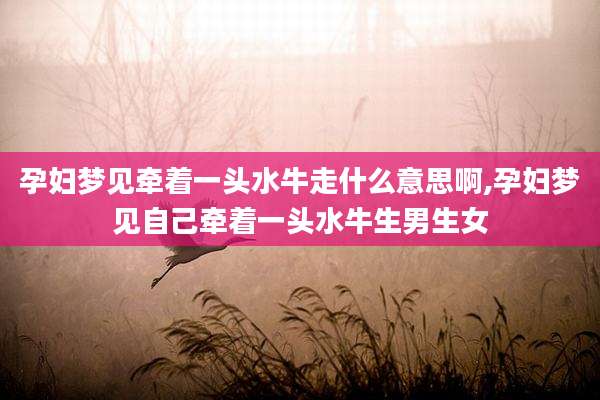 孕妇梦见牵着一头水牛走什么意思啊,孕妇梦见自己牵着一头水牛生男生女
