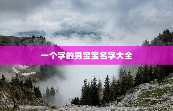 一个字的男宝宝名字大全