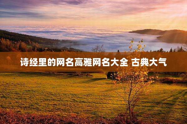 诗经里的网名高雅网名大全 古典大气