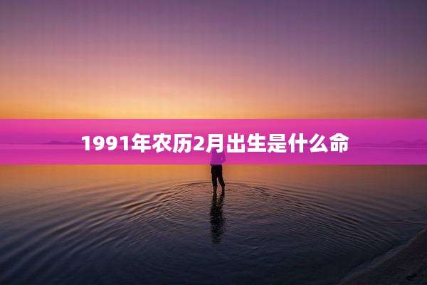 1991年农历2月出生是什么命