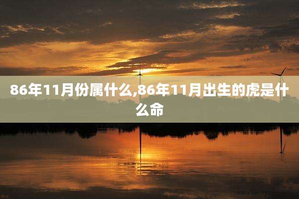 86年11月份属什么,86年11月出生的虎是什么命