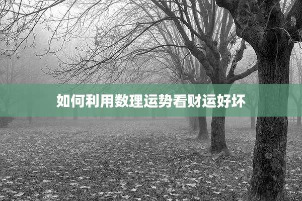 如何利用数理运势看财运好坏
