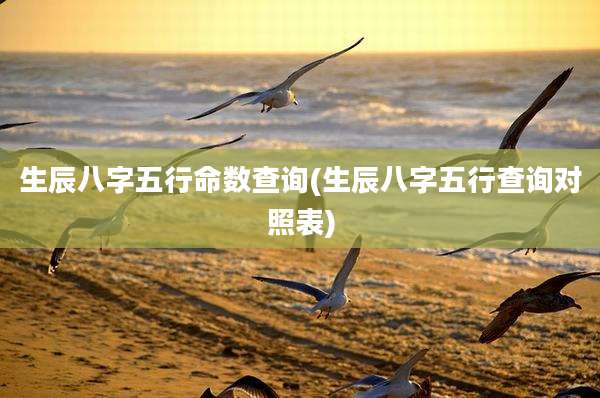 生辰八字五行命数查询(生辰八字五行查询对照表)