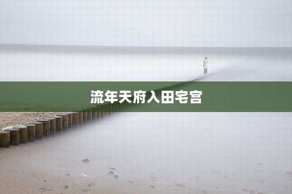流年天府入田宅宫