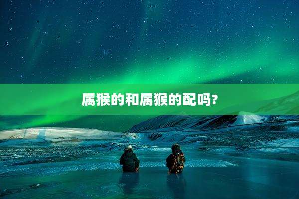 属猴的和属猴的配吗?
