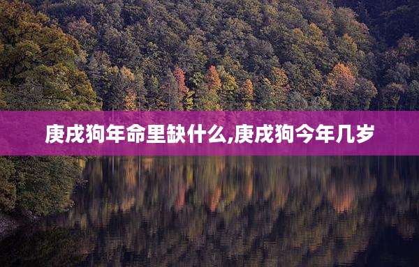 庚戌狗年命里缺什么,庚戌狗今年几岁