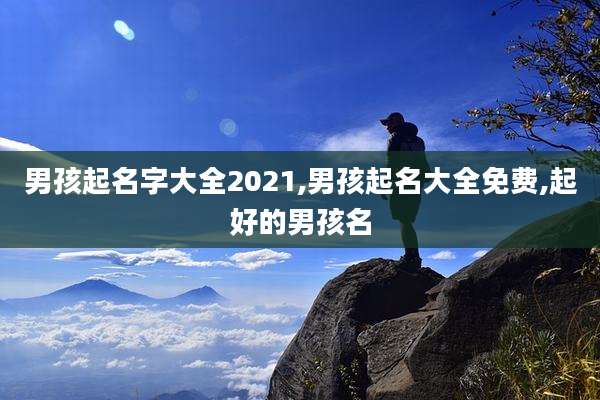 男孩起名字大全2021,男孩起名大全免费,起好的男孩名