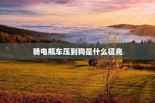 骑电瓶车压到狗是什么征兆