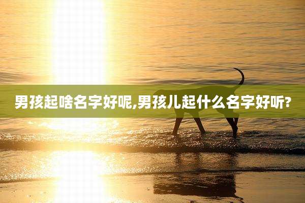 男孩起啥名字好呢,男孩儿起什么名字好听?