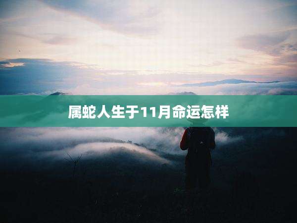 属蛇人生于11月命运怎样