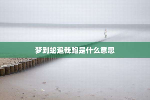 梦到蛇追我跑是什么意思