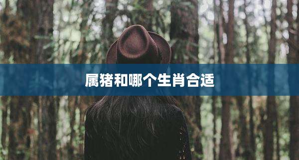 属猪和哪个生肖合适