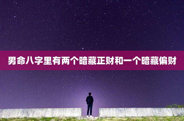 男命八字里有两个暗藏正财和一个暗藏偏财