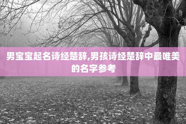 男宝宝起名诗经楚辞,男孩诗经楚辞中最唯美的名字参考