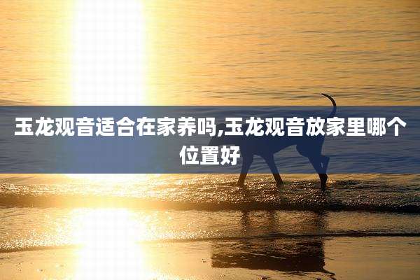 玉龙观音适合在家养吗,玉龙观音放家里哪个位置好