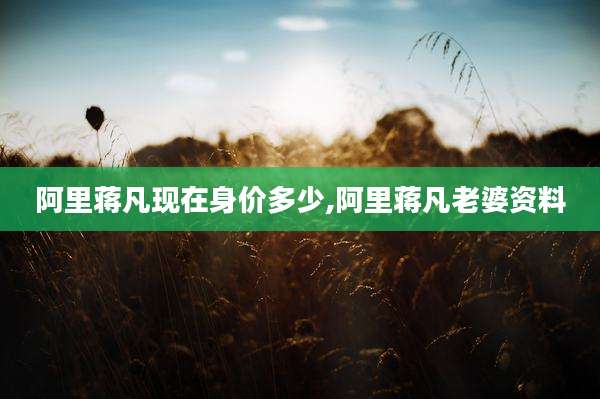 阿里蒋凡现在身价多少,阿里蒋凡老婆资料