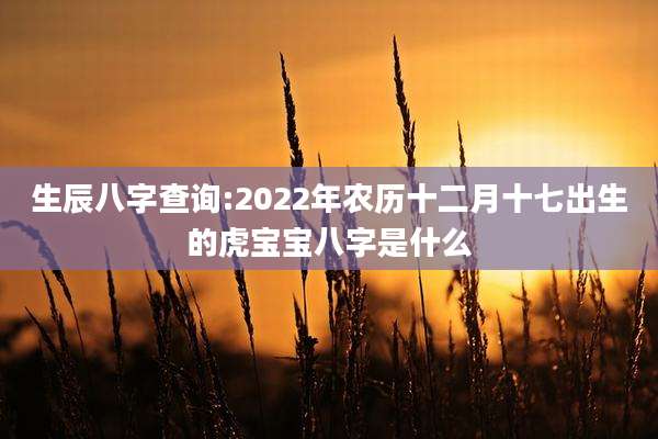 生辰八字查询:2022年农历十二月十七出生的虎宝宝八字是什么
