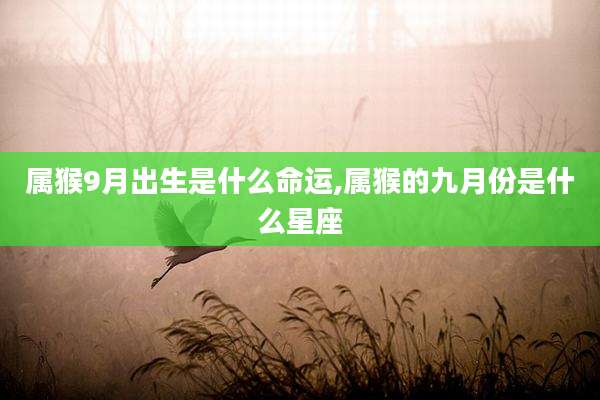 属猴9月出生是什么命运,属猴的九月份是什么星座
