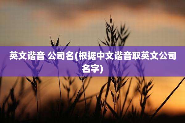 英文谐音 公司名(根据中文谐音取英文公司名字)