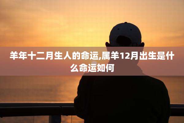 羊年十二月生人的命运,属羊12月出生是什么命运如何
