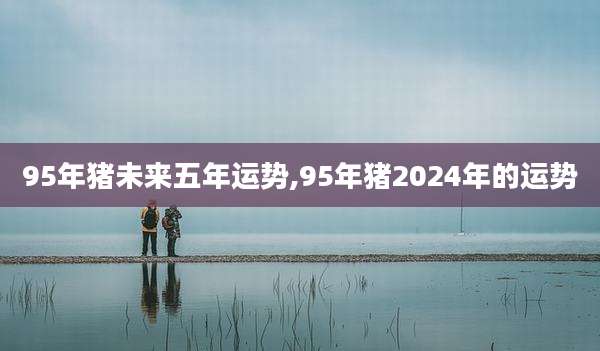 95年猪未来五年运势,95年猪2024年的运势