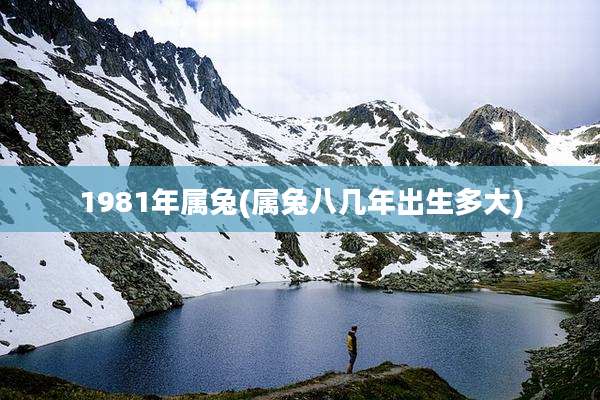 1981年属兔(属兔八几年出生多大)